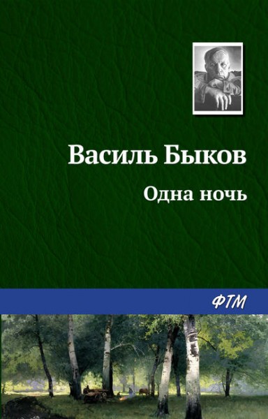 Быков В. В. Одна ночь 16+