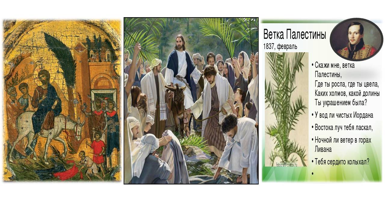 стихотворение лермонтова палестины. ветка палестины лермонтов иллюстрации. стихотворение лермонтова палестины.